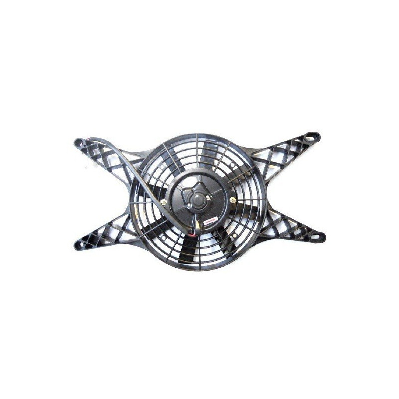 Ventilateur electrique Ligier, Microcar, Dué, Bellier