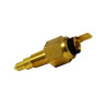 Sonde temperature AIXAM