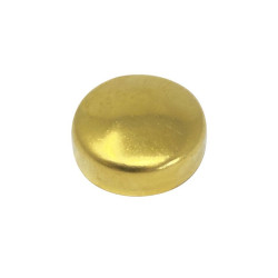 Pastille de sablage diamètre 18