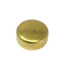 Pastille de sablage diamètre 22