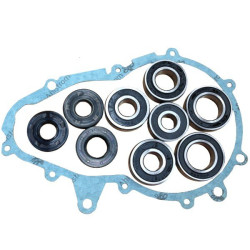 Kit de réparation STILFRENI LIGIER