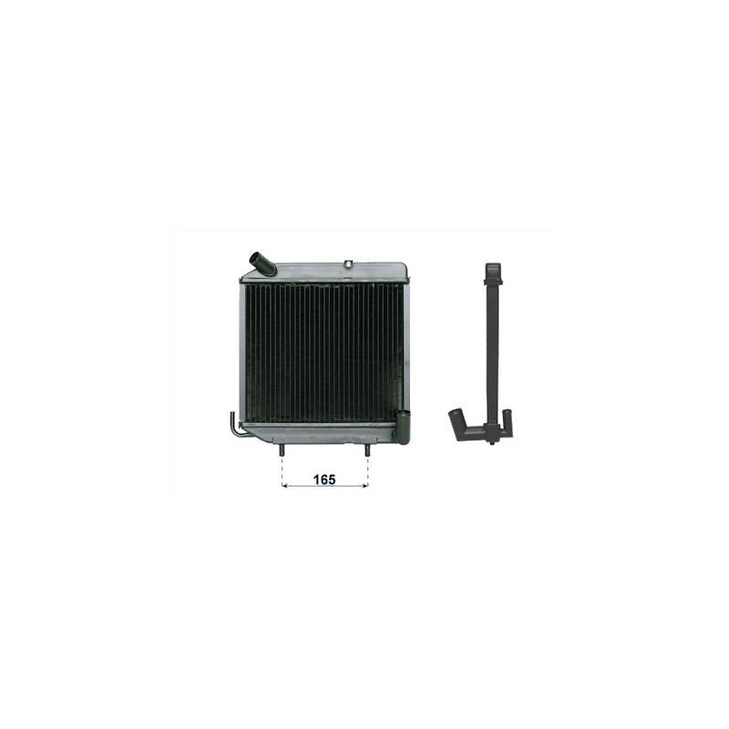 Radiateur LIGIER 162