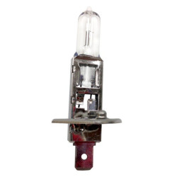Ampoule H1