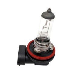 Ampoule H11