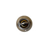 Thermostat Aixam diam. 44mm