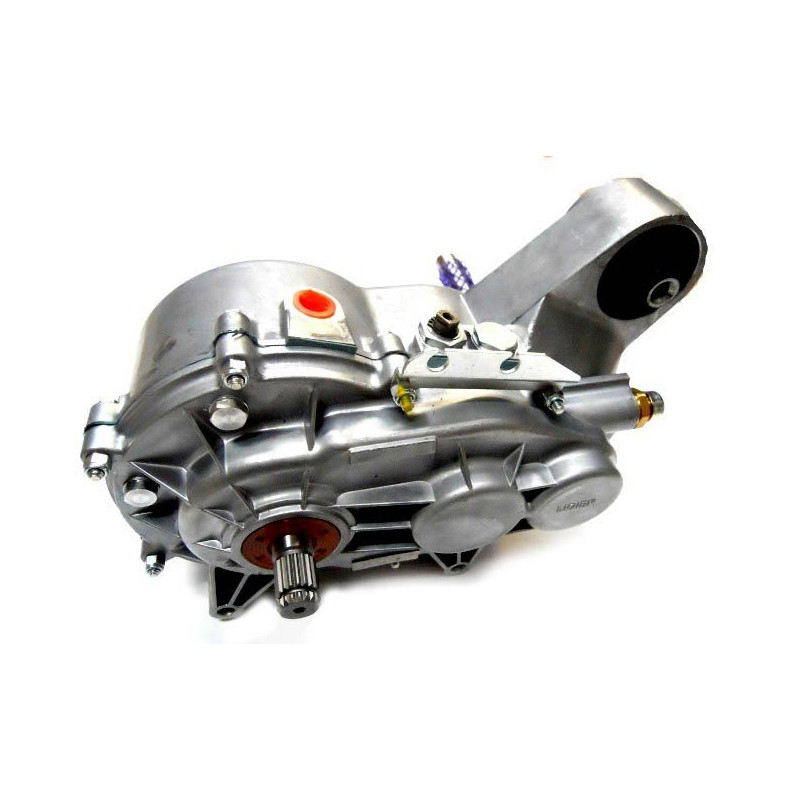 Boite de vitesse pour LIGIER IXO pour moteurs LOMBARDINI DCI - 1/8 Silent bloc Excentré