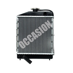 Radiateur Chatenet CH30