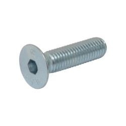 Vis de fixation silent bloc moteur Aixam