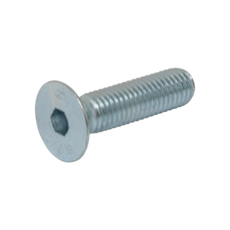 Vis de fixation silent bloc moteur Aixam