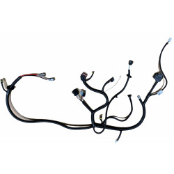 Faisceau de moteur pour Ligier JS 50 (phase 2) / JS 60, Microcar MGO 4 / 5 / 6, Dué 3 / 5 / 6