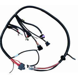 Faisceau moteur pour Ligier JS50 (phase 2) / JS60, Dué 3 / 5 /6 et Microcar 4 / 5 / 6