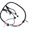 Faisceau moteur pour Ligier JS50 (phase 2) / JS60, Dué 3 / 5 /6 et Microcar 4 / 5 / 6