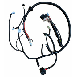 Faisceau moteur pour Ligier JS50 (phase 2) / JS60, Dué 3 / 5 /6 et Microcar 4 / 5 / 6