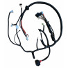 Faisceau moteur pour Ligier JS50 (phase 2) / JS60, Dué 3 / 5 /6 et Microcar 4 / 5 / 6