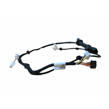 Faisceau de porte passager Ligier JSRC