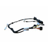Faisceau de porte passager Ligier JSRC