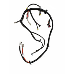 Faisceau moteur pour Ligier Xtoo R, S, RS, Optimax, Microcar Cargo
