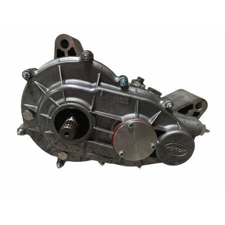 Boite de vitesse adaptable Microcar MGO1 / MGO2 / M8 - 1/11