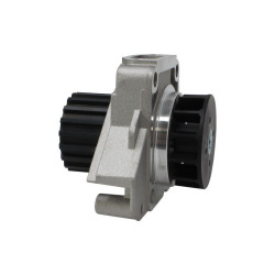 Pompe à eau moteur LOMBARDINI Focs et Progress
