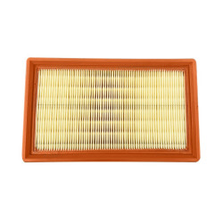 Filtre a air LOMBARDINI focs