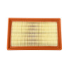 Filtre a air LOMBARDINI focs