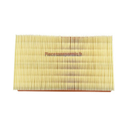 Filtre a air LOMBARDINI focs