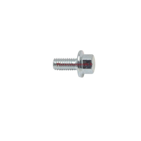 Vis moteur M6X12 Moteur Lombardini 442 et 492 DCi