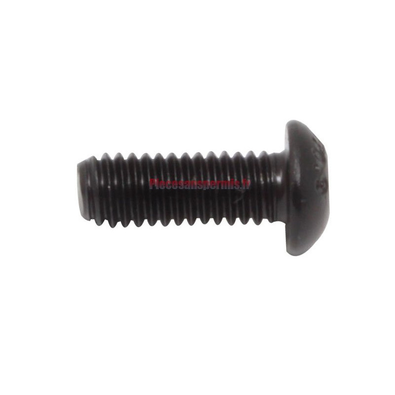 Vis de fixation de panneau de porte adaptable Chatenet