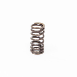Ressort de clapet d'injecteur pompe Lombardini Focs et Progress
