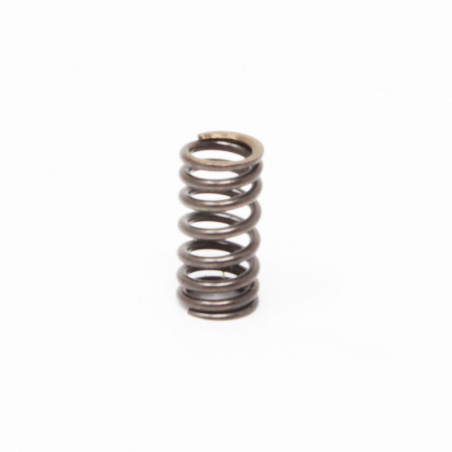 Ressort de clapet d'injecteur pompe Lombardini Focs et Progress
