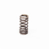 Ressort de clapet d'injecteur pompe Lombardini Focs et Progress