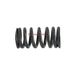 Ressort de clapet d'injecteur pompe Lombardini Focs et Progress