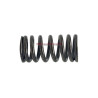 Ressort de clapet d'injecteur pompe Lombardini Focs et Progress