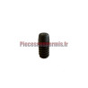 Goupille caoutchouc pour hayon Aixam