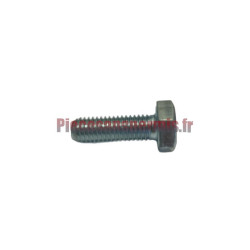 Vis fixation variateur boîte