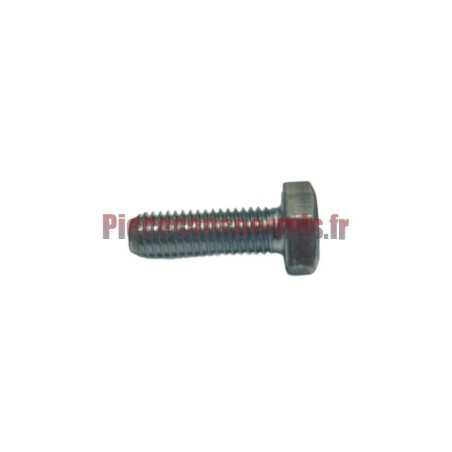 Vis fixation variateur boîte
