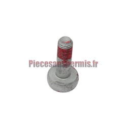 Vis de fixation étrier Citroen ami et Opel Rocks-E