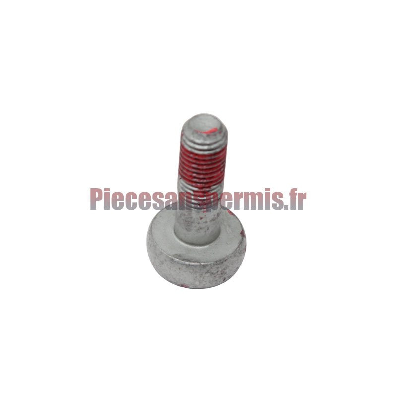 Vis de fixation étrier Citroen ami et Opel Rocks-E