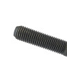 Vis variateur moteur origine Ligier, Chatenet, JDM, Bellier, Casalini, Grecav, Dué et Microcar