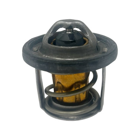 Thermostat Ligier Myli