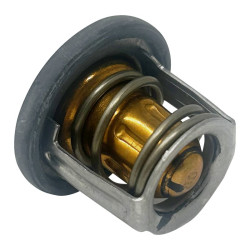 Thermostat Ligier Myli