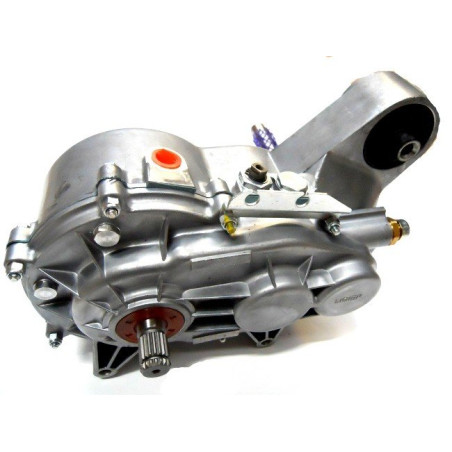 Boite de vitesse origine LIGIER Xtoo R/S/RS / Optimax 2 / MICROCAR Cargo, Lombardini Progress - 1/11 Silent Bloc centré