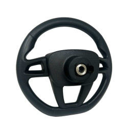 Volant Ligier, Microcar et Dué