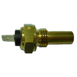 Sonde de température pour ancien modèle LOMBARDINI