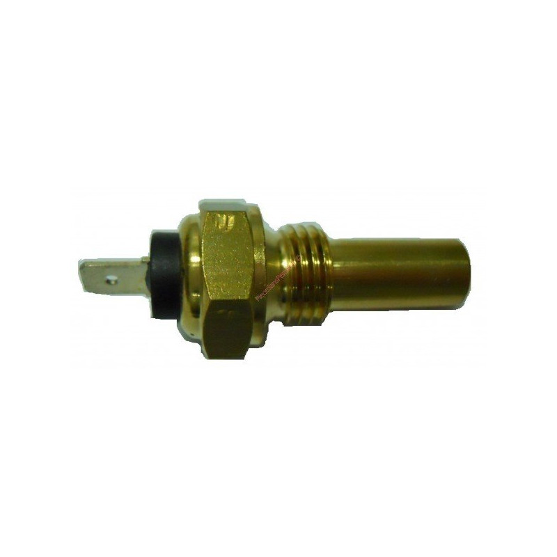 Sonde de température pour ancien modèle LOMBARDINI