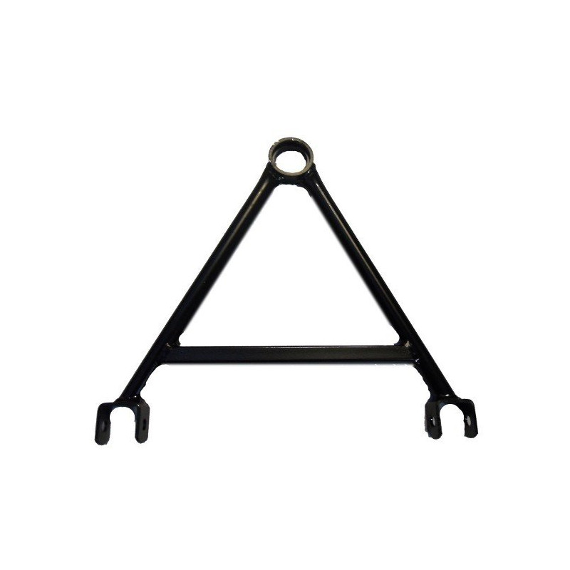 Triangle pour LIGIER 162, Ambra, Nova