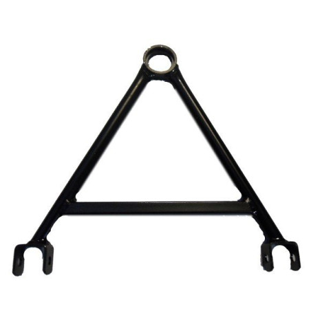 Triangle pour LIGIER 162, Ambra, Nova